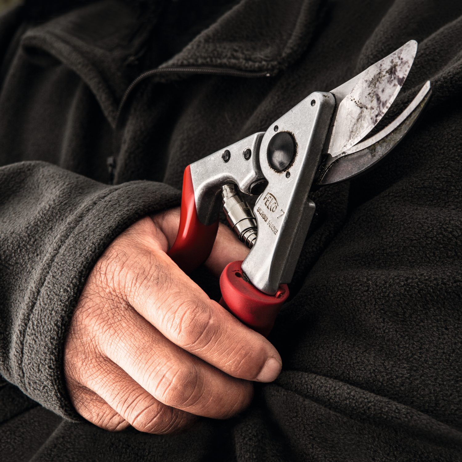 Handschere – Bild 3