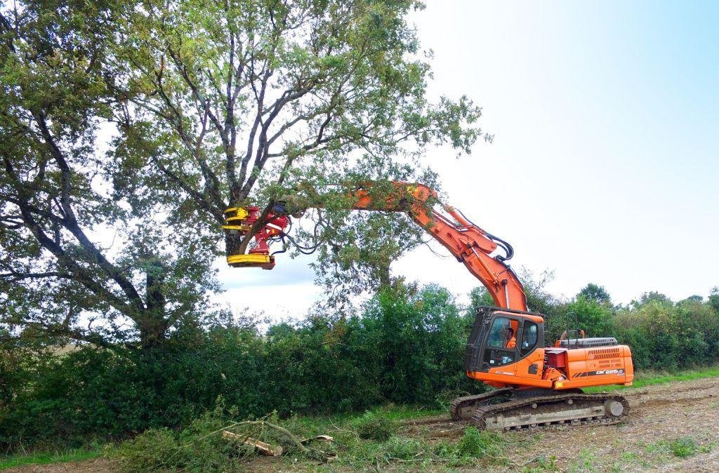 RABAUD XYLOCUT 310 PE | Fällgreifer für Bagger 13,0 bis 17,0 to. – Bild 5